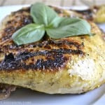 Honey Mustard Grilled Chicken