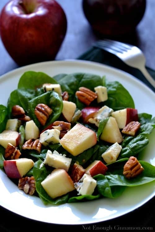 Blue Cheese, Apple and Pecan Salad with Pomegranate Dressing - NotEnoughCinnamon.com