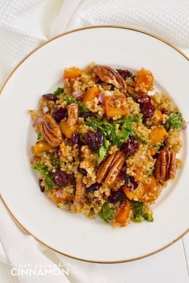 overhead shot of a plate of warm quinoa salad with butternut squash, candied pecans, kale and cranberries 