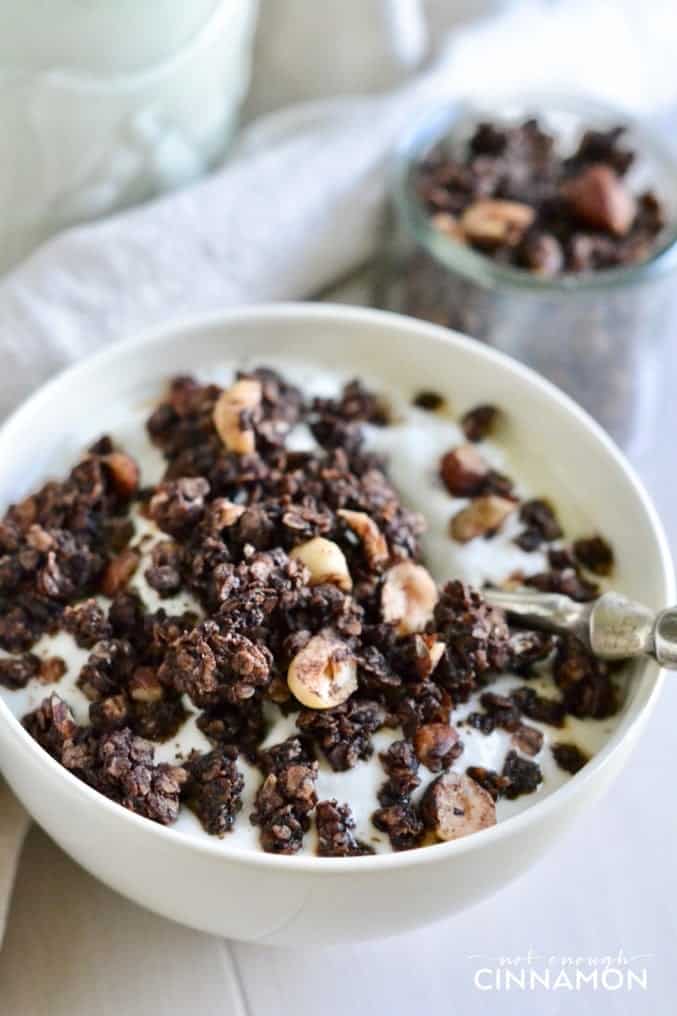 close-up of bowl of chocolate hazelnut granola mixed with yogurt (healthy granola recipe)