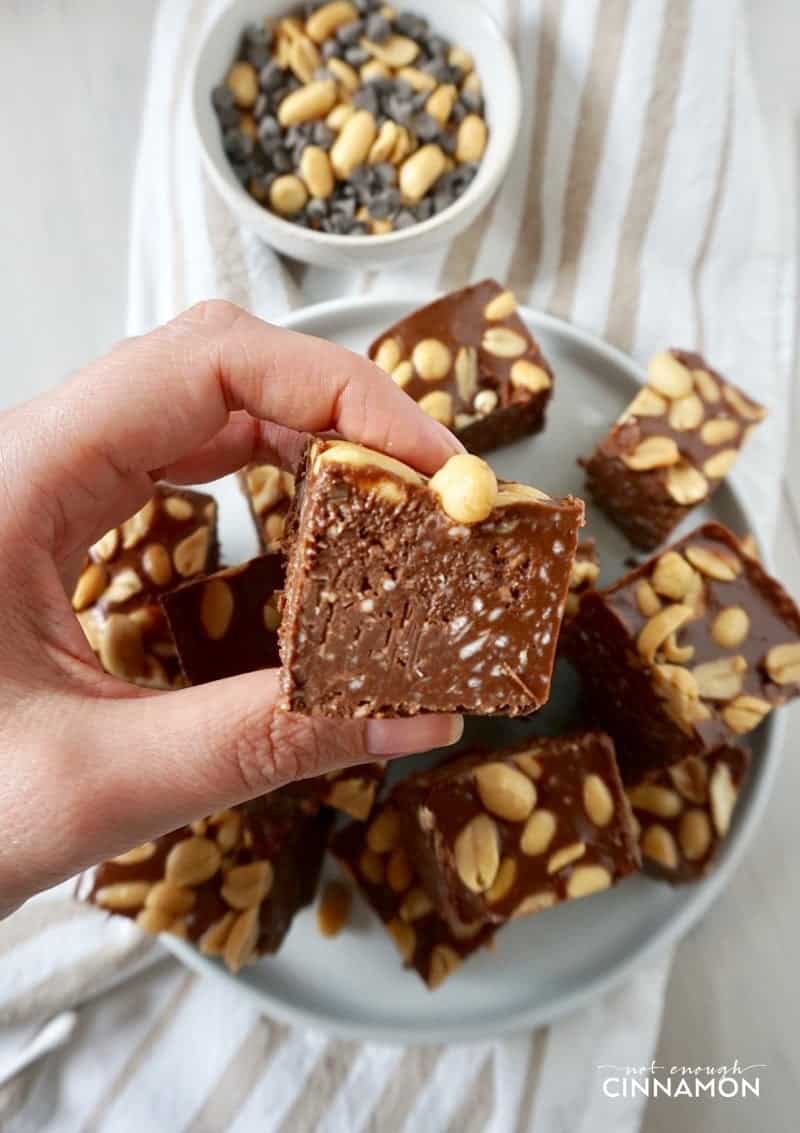 a hand holding a square of peanut butter chocolate fudge topped with peanuts