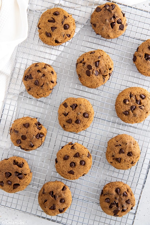 freshly baked chocolate chips protein cookies cooling on a rack