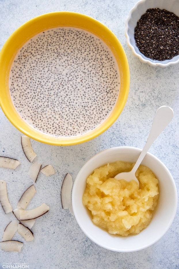 ingredients needed for making pina colada chia pudding