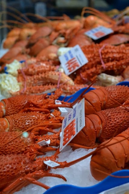 Sydney Fish Market03