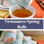 pinterest graphich of Vietnamese Spring Rolls