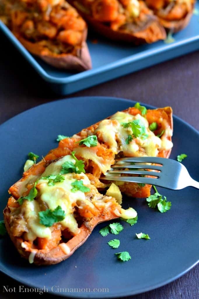 Pulled Pork Stuffed Sweet Potatoes with melted cheese and fresh cilantro leaves served on a blue plate 