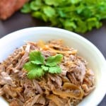 Slow-Cooker Pulled Pork with Apples & Onions