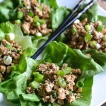 Asian Chicken Lettuce Wraps 2.0 - Pin