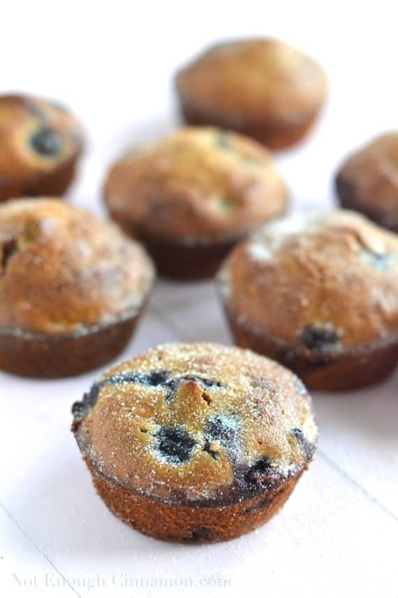 Healthy Blueberry Muffins - NotEnoughCinnamon.com