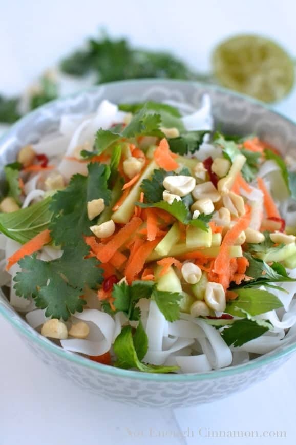 close-up of Vietnamese Noodle Salad with Tahini Dressing  topped with fresh chopped veggies and peanuts