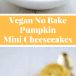 Amazing Pumpkin Vegan Mini Cheesecake - They're dairy free, refined sugar free, paleo and simply irresistible. Get the recipe on NotEnoughCinnamon.com #cleaneating