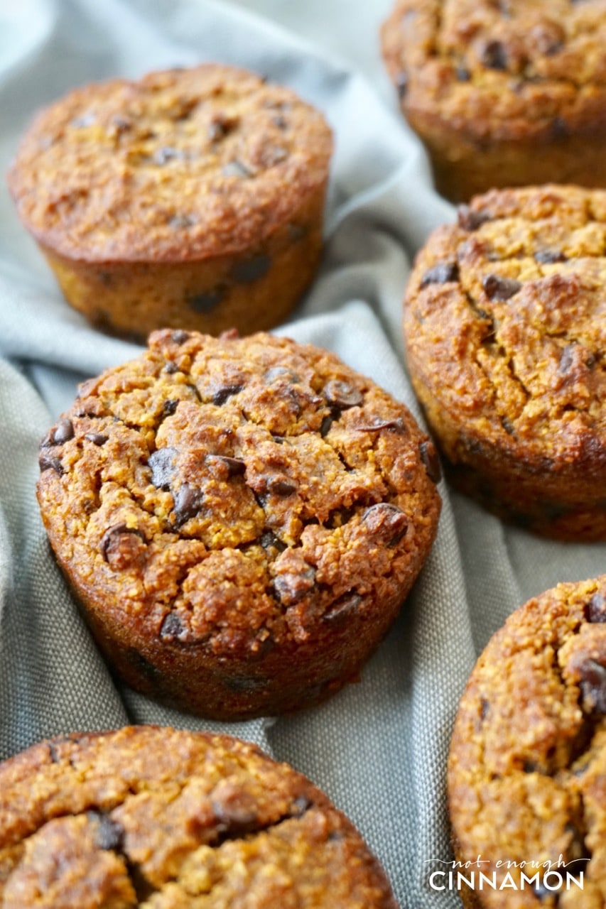 Paleo and Gluten Free Pumpkin Chocolate Chips Muffins that are TO DIE FOR! Perfectly moist and so tasty! See the recipe on NotEnoughCinnamon.com #refinedsugarfree #cleaneating #cleantreats