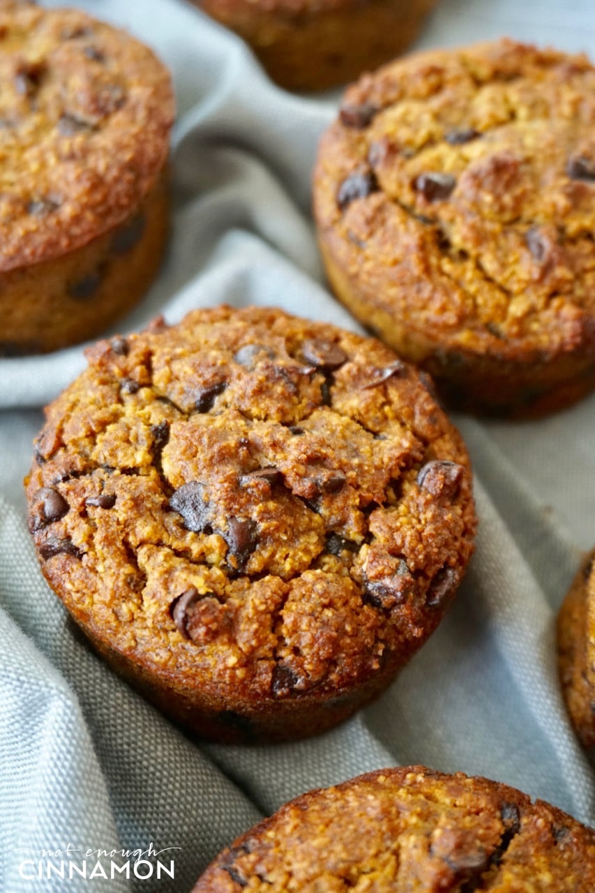 Paleo and Gluten Free Pumpkin Chocolate Chip Muffins on a grey tablecloth