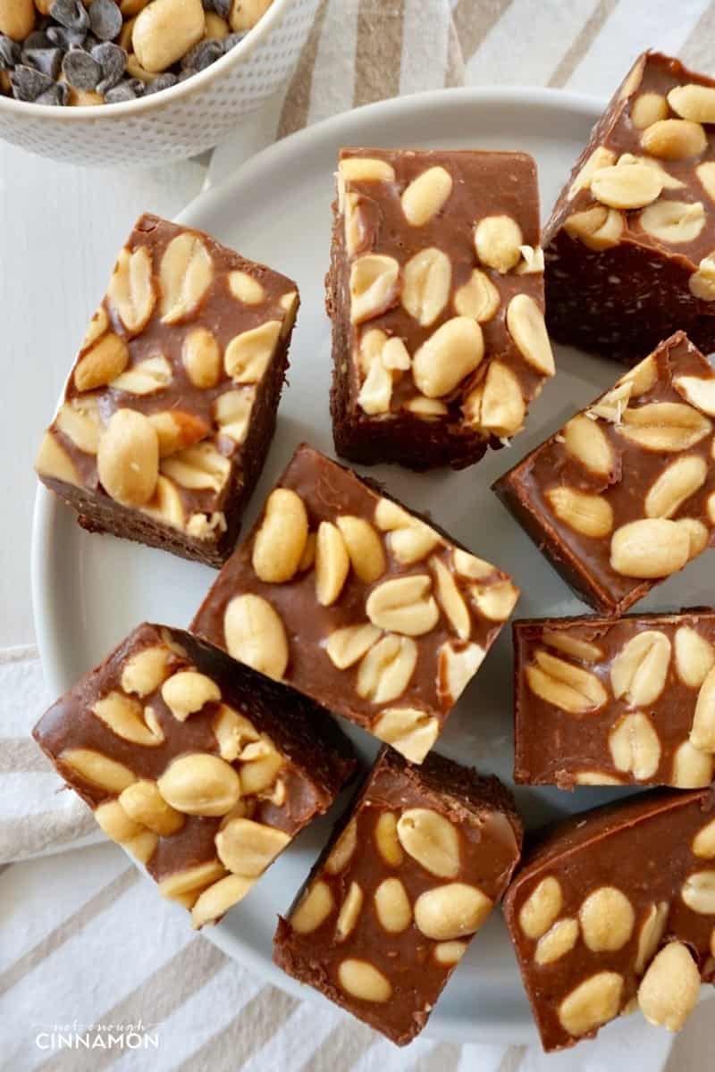 overhead shot of a plate of healthy vegan peanut butter chocolate fudge topped with peanuts