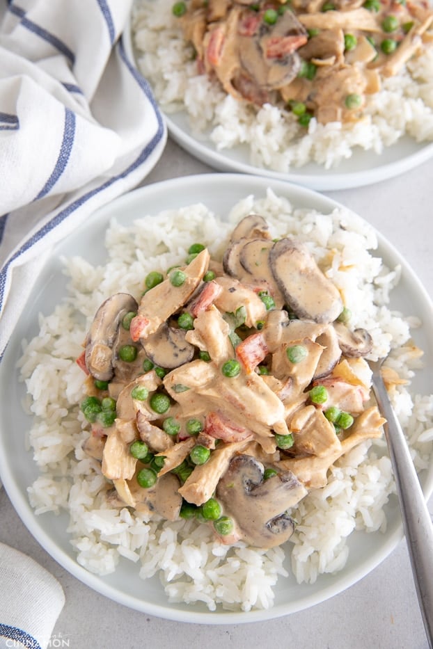 overhead shot of a serving of dairyfree chicken a la king served over rice 