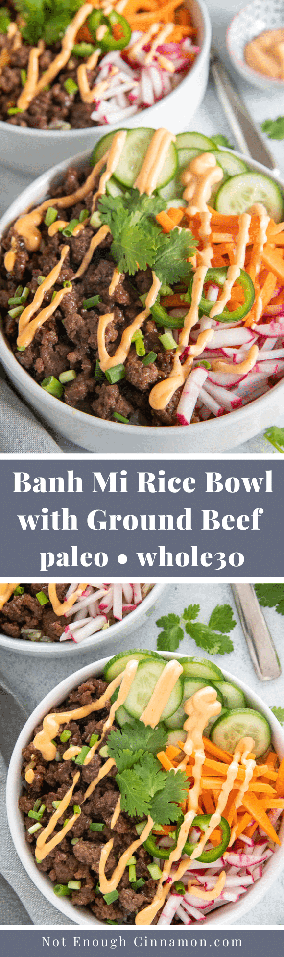 Vietnamese Banh Mi Rice Bowl Recipe ( Paleo & Whole30)