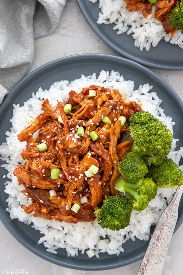 overhead shot of a serving of shredded slow cooked chicken thighs tossed in honey garlic sauce 