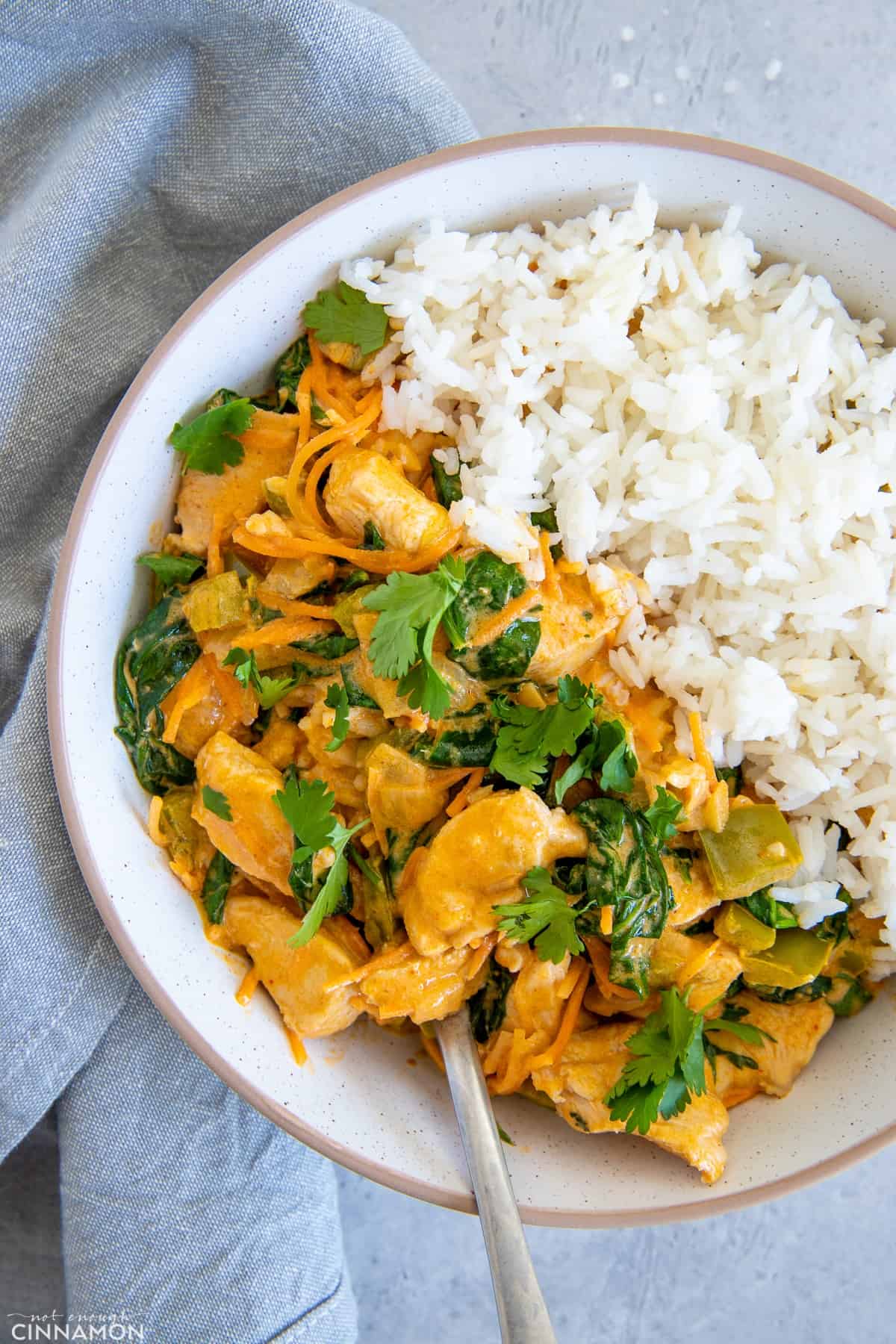 red Thai Curry with chicken and vegetables in coconut broth served with rice